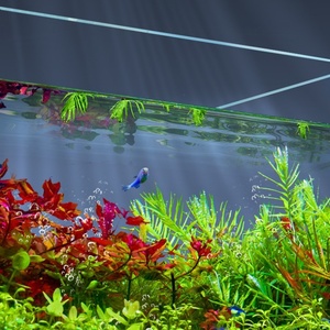 Acquario da Tavolo in Vetro HD Silenzioso per Soggiorno, Novità 2024, Piccolo Acquario per Pesci Rossi con Curvatura a Caldo - Product Image 4