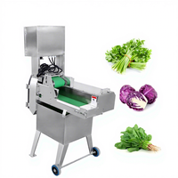 Máquina Cortadora de Cebolla, Patata y Verduras de Acero Inoxidable 304, Rebanadora de Zanahorias y Trituradora de Repollo