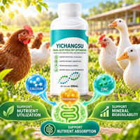 Additif alimentaire liquide à base d'acide lactique et d'acide citrique pour poulets de chair et poules pondeuses