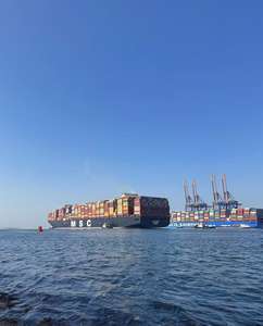 China Forwarder Agent für nordafrika nische Seefracht FCL Lieferung auf <span class=keywords><strong>FOB</strong></span>/CIF/CFR/DDU/DDP-<span class=keywords><strong>Basis</strong></span> - Product Image 4