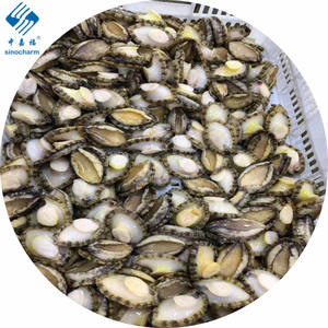 Fournitures pour étagères de haute qualité, sans coquilles d'abalone - Product Image 4