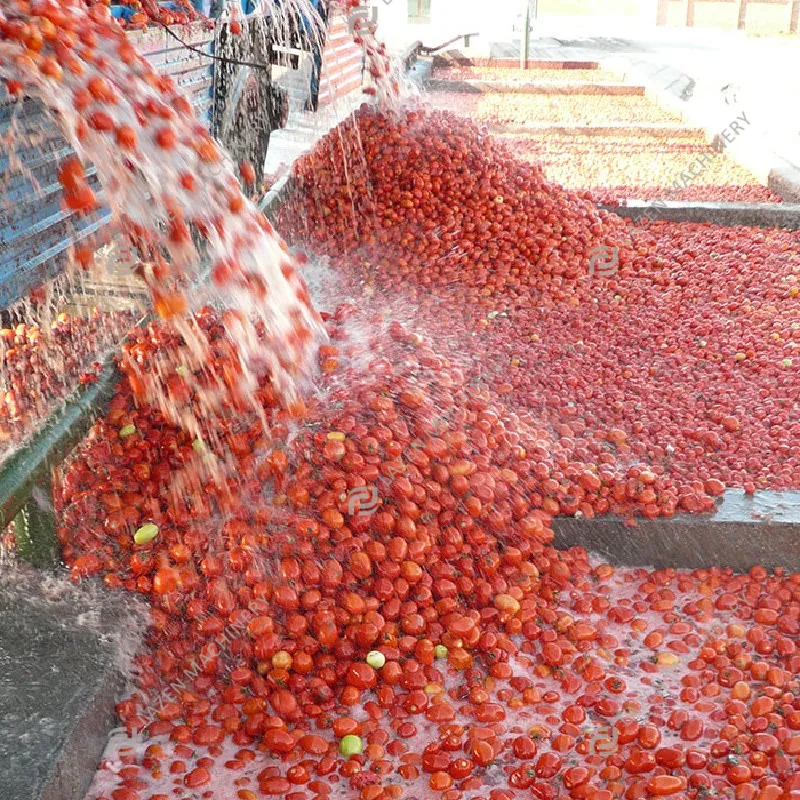 Línea de producción de máquina de pasta de tomate aséptica automática Planta de procesamiento de salsa de tomate de pasta