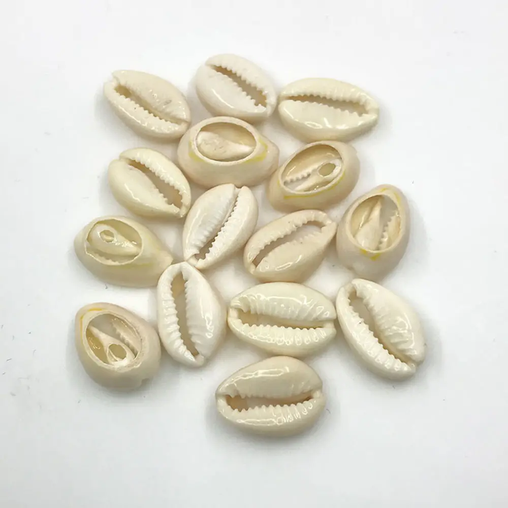 Perles de Coquille de mer Blanc Coquillages Cauris Coquillage Naturel Décor de Plage