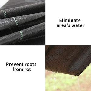 Toile <span class=keywords><strong>de</strong></span> protection contre les <span class=keywords><strong>mauvaises</strong></span> <span class=keywords><strong>herbes</strong></span> pour terrain <span class=keywords><strong>de</strong></span> football, <span class=keywords><strong>jardin</strong></span>, couverture <span class=keywords><strong>de</strong></span> terrain, tissu anti-<span class=keywords><strong>mauvaises</strong></span> <span class=keywords><strong>herbes</strong></span> en plastique PP PE, bâche anti-<span class=keywords><strong>mauvaises</strong></span> <span class=keywords><strong>herbes</strong></span>, contrôle des <span class=keywords><strong>mauvaises</strong></span> <span class=keywords><strong>herbes</strong></span> agricoles - Product Image 2