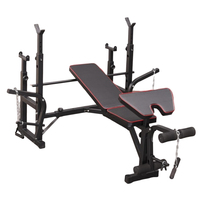 Ensemble de musculation pour développé couché avec support de barre, banc d'entraînement pour exercices des jambes, banc de musculation réglable pour développé couché et préparation des muscles du bas du dos