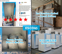 Congélateur vertical commercial à température unique pour l'extérieur, bac de stockage de glace, préservateur de glace pour restaurants