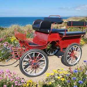 Último Modelo 2026: Carroza Eléctrica para Entrenamiento de Maratón, Transporte Especial para Turismo en Parques y Zonas Turísticas - Product Image 1