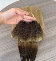 Nouvelle Tendance 2026 Extensions de Cheveux Humains Double Trame Russe 18 pouces Couleur Balayage T2-p18/60 Ondulé Raide Effet Plume au Crochet