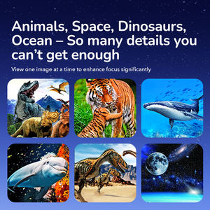 Mideer 3D Viewer Toy Enfants Stéréoscope Portable avec Diapositives D'histoire Observation Amusante Pas De Lumière Bleue Réaliste Jouet D'apprentissage Visuel - Product Image 5