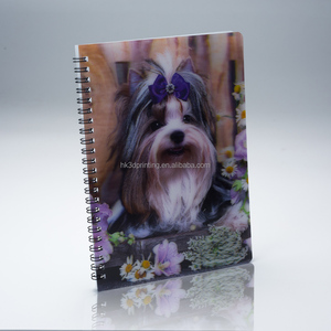 Cuaderno Lenticular de Alta Calidad con Impresión 3D Personalizable, Tamaños A4/A5/A6, en PP/PET, con Diseño Elegante y Gran Viableidad Global - Product Image 3