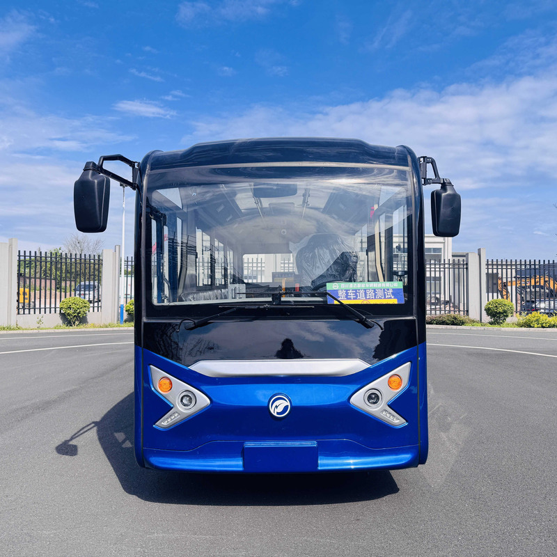 DAOD Luxury Custom Electric Bus 17
