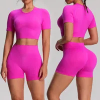 Ensemble de 2 pièces : T-shirts et shorts de sport yoga unis, sans couture, taille élastique, vêtements de sport pour femmes, leggings de gym