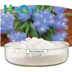 Лучшая цена, чистый бета-эктистерон порошок, бета-эктистерон, 90% 95% - Product Image 3