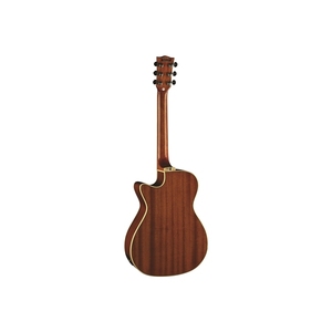 EKO GUITARS- One A150ce Vintage Burst Acoustic Guitars Solid Tops Acajou Côtés et Dos Touche Roupana Amérique du Sud - Product Image 2