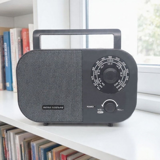 RETRO FORTUNE High Quality Portable Retro Style Home Radio with AC DC Power Supply
