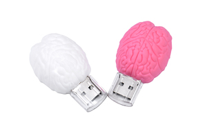 Gitra-memoria <span class=keywords><strong>Usb</strong></span> en forma de cerebro, unidad Flash <span class=keywords><strong>Usb</strong></span> de 1GB, 2GB, 4GB, 16GB <span class=keywords><strong>con</strong></span> logotipo personalizado - Product Image 5