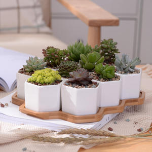 <span class=keywords><strong>Pot</strong></span> de fleurs créatif en céramique blanche hexagonale avec support en bambou et doublure, idéal pour plantes succulentes, décoration de jardin et de maison - Nouveauté ! - Product Image 2