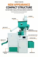 Machine combinée décortiqueuse de riz 6N-L150 800-1000 kg/h, machine de traitement automatique du riz à moteur, haute productivité