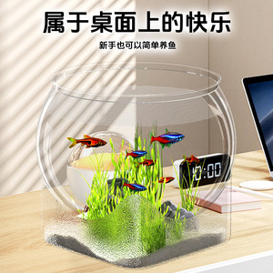 Aquarium rond transparent en acrylique pour bureau, mini aquarium pour la décoration de la maison ou du bureau - Product Image 5