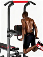 Barre de traction réglable en acier, station de fitness portable pour squats et dips, pour l'extérieur, la salle de sport et l'entraînement à domicile, charge maximale 150 kg