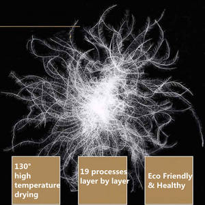 <span class=keywords><strong>Duvet</strong></span> <span class=keywords><strong>d</strong></span>'<span class=keywords><strong>oie</strong></span> blanc lavé 90, nouvelle norme nationale de vêtements, <span class=keywords><strong>duvet</strong></span> standard, matière première, <span class=keywords><strong>plume</strong></span> de remplissage <span class=keywords><strong>d</strong></span>'édredon - Product Image 2