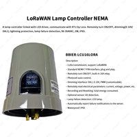 BBIER Urban Lighting Système de contrôleur de lampadaire Lora extérieur Lora-Mesh IoT Solution Smart LED Street Light