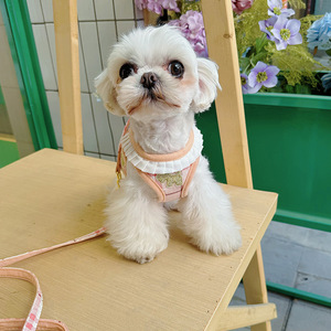 通気性のある厚手の犬用ハーネスとリードのセット、格子柄のフリルトリム付き、子犬、小型犬、中型犬に調節可能 - Product Image 4