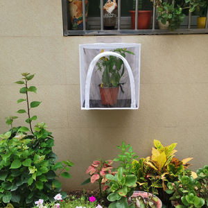 Pieghevole appeso a parete farfalla Habitat farfalla maglia gabbia insetto esterno allevamento gabbia terrario portatile Bug <span class=keywords><strong>House</strong></span> - Product Image 6