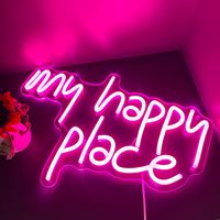 Luces LED de Neón Flexibles Personalizadas al por Mayor, Cuerpo de Lámpara Acrílico, Clasificación IP33, DC12V, Tamaño y Color Personalizables para Uso en Parques Temáticos, China