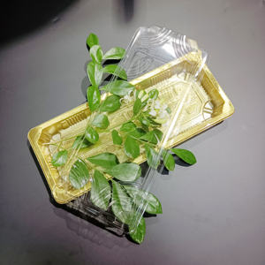 Fournisseur d'usine <span class=keywords><strong>Plateau</strong></span> à sushi en plastique PET Boîte de boulangerie en forme de rectangle Récipient alimentaire pour sushi Chocolat Bonbons Gâteau Cookie Blister - Product Image 3