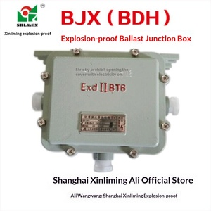 Boîtier de jonction antidéflagrant BDH(BJX) pour ballast de lampe aux halogénures métalliques, zones 1/2, emplacements dangereux, norme nationale - Product Image 4