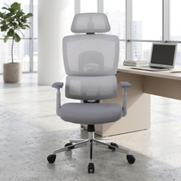 Chaise de bureau ergonomique moderne en maille avec accoudoirs et appuie-tête 3D réglables, base coulissante - Usage commercial