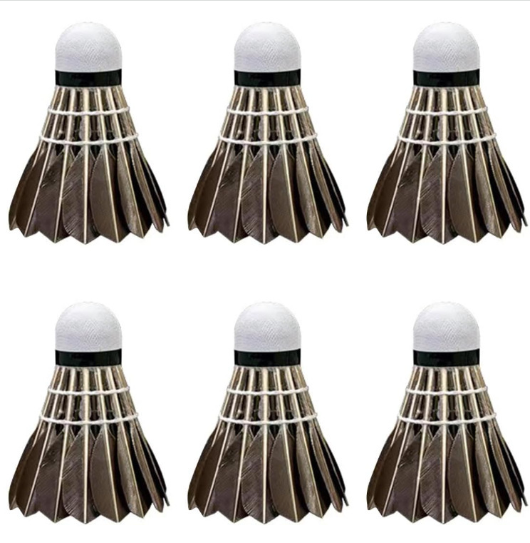Pack de 6 balles de badminton Black Feather, tête en mousse.