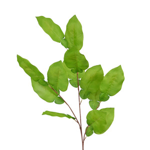 Branche de feuille de pamplemousse artificielle Dongchen Crafts, 30cm-100cm, fleur en soie, décorations de plafond pour mariage - Product Image 5