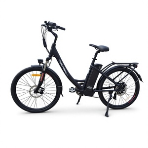 Venta de Fábrica a Bajo Precio: <span class=keywords><strong>Bicicleta</strong></span> Eléctrica con Neumáticos Finos, Motor Octagonal de 48V 500W, Freno de Disco Mecánico de 10Ah - Product Image 1