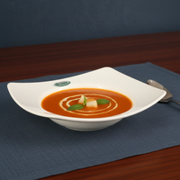 Assiette rectangulaire de luxe anti-brûlure en mélamine sans BPA avec rebord intérieur de haute qualité pour soupes et desserts
