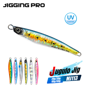 <span class=keywords><strong>Esca</strong></span> Jigging Pro Shore Jigging 20g 30g 40g 60g pesca in acqua salata in metallo esche da pesca <span class=keywords><strong>per</strong></span> spigole <span class=keywords><strong>per</strong></span> la pesca in mare - Product Image 4