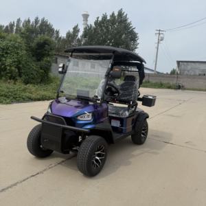 Chariot de <span class=keywords><strong>golf</strong></span> électrique de <span class=keywords><strong>2025</strong></span> Offre Spéciale 2 Seater, batterie au lithium 72V, - Product Image 1