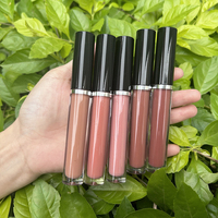 Gloss à lèvres vegan haute pigmentation, non collant, hydratant, longue tenue, brillant, huile à lèvres liquide teintée