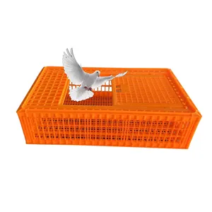 Viele Modelle für Tauben transport käfig Hühner kisten Kunststoff transport boxen