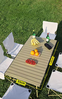 Table pliante portable ultra légère au design moderne pour les repas en plein air, les hôtels, le camping, les barbecues et les pique-niques.