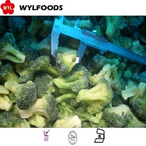 Jardín recogido <span class=keywords><strong>brócoli</strong></span> congelado mejor para la distribución al por mayor <span class=keywords><strong>brócoli</strong></span> fresco - Product Image 5