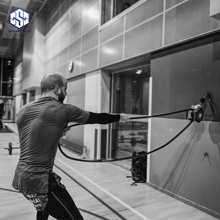 Machine à Poulie Fitness 'tireuse De Corde Sans Fin' - Pour Entraînement Haut Du Corps, Neuve
