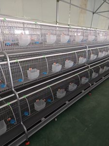 Gabbia per Conigli Facile da Pulire in Kenya con Vassoi in Plastica - Product Image 2