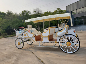 Luxury Zhenda Electric 6-Person Solid Rubber Tires Horse Carriage for Sightseeing-Best-selling - Product Image 2