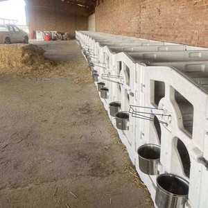 Vente flash : enclos pour bétail, ferme laitière, enclos d'isolement pour veaux, abri pour veaux - Product Image 5