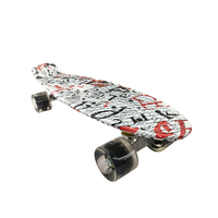 Planche à roulettes en plastique de 22 pouces pour adultes, activités de plein air, planche à roulettes professionnelle, planche à roulettes à quatre roues