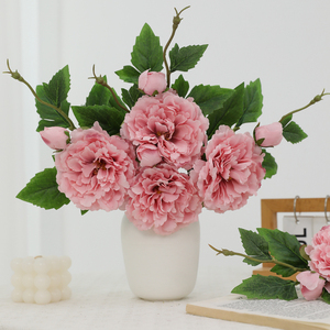 Premium a doppia testa radici di peonia colori vivaci fioriture lussuose per giardino ed eventi consegna rapida in magazzino - Product Image 5