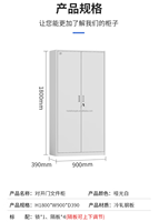 Armoire de rangement verticale moderne à deux portes en acier, ignifuge et étanche, pour la maison, le bureau, la salle de sport, l'école, la chambre, l'hôtel