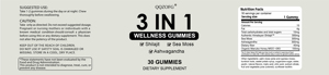 3 in 1 Wellness Gummies <strong>Honey</strong> Flavor Himalayan Shilajit Resin Gummy Supplement Boost Energy 3 in 1 Health 30 Gummies - Product Image 6